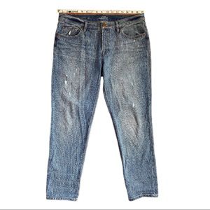 Ann Taylor Loft Boyfriend Jeans